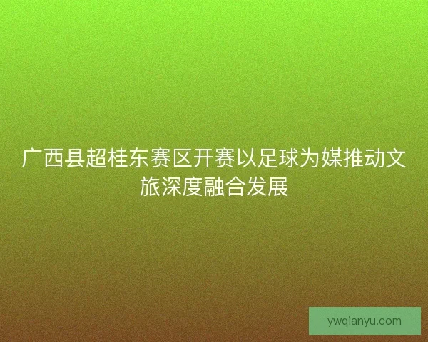 广西县超桂东赛区开赛以足球为媒推动文旅深度融合发展